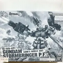 MG 1/100 ガンダムストームブリンガー P.F. 纏め購入で¥500引