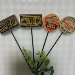 ガーデンピック87☆多肉植物☆サボテン☆複数購入は50円引きのサムネイル