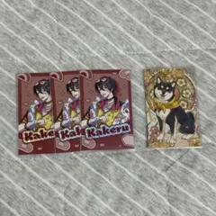 夢追翔 黒井しば チェキ まとめ売り