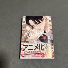 美山薫子　パーフェクトアディクション【新品未読】