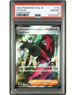 2026年最新】セキsr psa10の人気アイテム - メルカリ