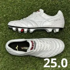 モレリア2ジャパン　ペイントカスタムモデル　25.0㌢　新品・未使用