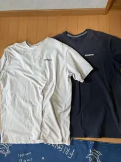 patagonia Tシャツ 2色セット Lサイズ