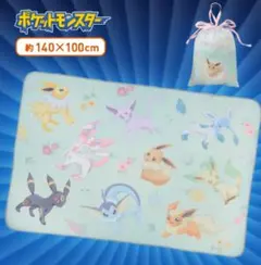 【新品】ポケット モンスター イーブイ プレミアム巾着付きブランケット