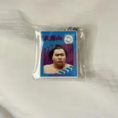 Item thumbnail for item 881cebfc-2f78-4255-8864-ecdf4cdf8286