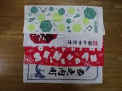 Item thumbnail for item 5f12d6c8-08b9-439d-be08-1afa27951b17