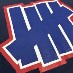 た*！様 Champion Undefeated コラボTシャツ X-LARGE