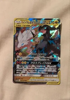 しおはらみ様 リクエスト 2点 まとめ商品