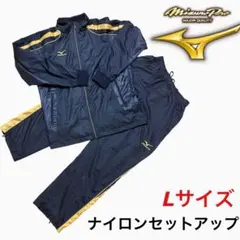 Item thumbnail for item a6ba00ff-11fc-4a06-82bf-dfd6b01d681d