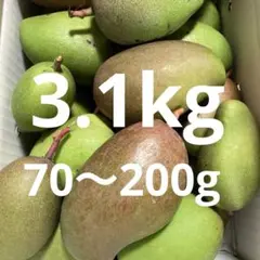 摘果マンゴー 7kg - メルカリ