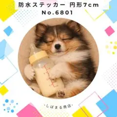 Item thumbnail for item e326de94-0467-4b9e-98b5-c4db7c81465d