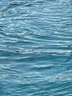 【やまあさ様専用】