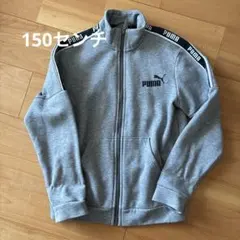 PUMA グレー ジャージ 150