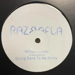 Natasha Watts / Go Slow (Rework) 新品未使用7