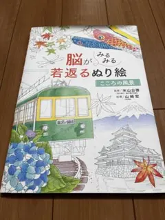 Item thumbnail for item 31ed49a6-a08c-4099-8ca5-d2278433fe9b