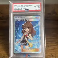 ブルーの探索 SR SM9b フルメタルウォール 061/054のサムネイル