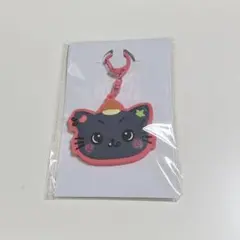 NCT WISH Our WISH ミラーキーホルダー リク
