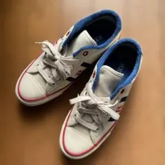 Item thumbnail for item 87208afc-b4e0-4fc5-b9c9-240a33bbde24