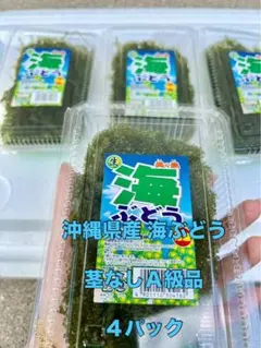 3キロ農薬不使用 冷凍あんず 真空パック - メルカリ