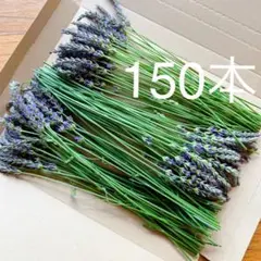 りもん様 リクエスト 2点 まとめ商品