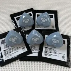 からぴち　トレーディングリングライト　ヒロくん