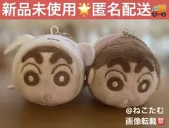 【新品未使用、匿名配送】クレヨンしんちゃん ぺたんこクリーナーマスコット 2種