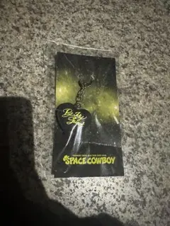 岩田剛典 SPACE COWBOY ハートキーホルダー 大阪