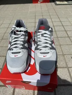 Nike Air Max グレー/レッド 629993-049のサムネイル