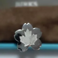 Item thumbnail for item 92838d1b-1fb5-4efd-808a-5d97c384961c