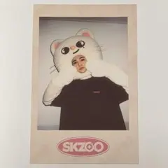 straykids skz-x skzoo ペンミ ポラ ハン - メルカリ