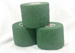 Item thumbnail for item 16fd7938-a048-45e2-a223-3f557fdfb065