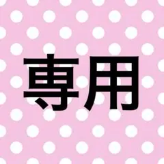 専