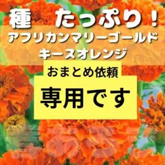 maa1205様 リクエスト 2点 まとめ商品