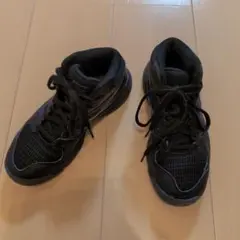 asics バスケットボールシューズ ダンクショット黒/紫