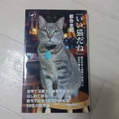 いい猫(こ)だね : 僕が日本と世界で出会った50匹の猫たち