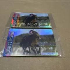 競馬サラブレッドホースコレクションカード 第2R MEISHO SAMSON