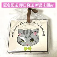 新品未開封 匿名配送 ニャンコの毛並みハンカチ 猫 今治ハンカチタオル サバトラ
