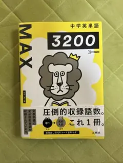 Item thumbnail for item 151b003d-56f7-49f5-a31a-3f88da38a5a8