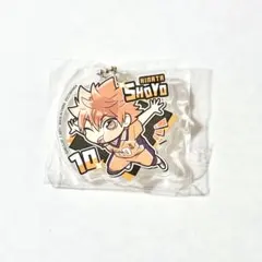 ハイキュー!! ぴた！でふぉめ アクリルキーホルダー Vol.2 日向 翔陽