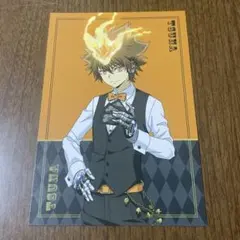 d*7様 ● 家庭教師ヒットマンREBORN! カジノ ポストカード 沢田綱吉