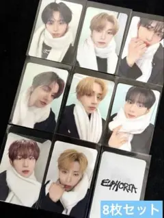 ALD1 EUPHORIA makestar マフラー トレカ 8枚セット