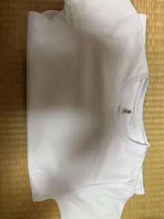 Item thumbnail for item e24dc183-daa5-4e26-bb71-85623051ff28