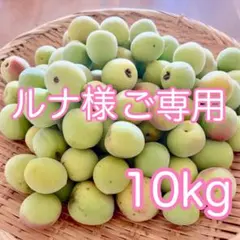 最高品質極上ミネラル南高梅(青梅)10kg 最高品質極上ミネラル南高梅(青梅)10kg - メルカリ