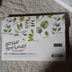2026年7月購入】ゴッソトリノ ハーブミント73包（30包 2箱➕13包 