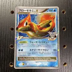 ポケパークのピカチュウ ゴンベ トレーディングカードセット ポケパークのピカチュウ ゴンベ 他 9枚セット ポケパークの