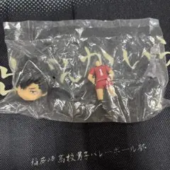 ハイキュー　黒尾鉄朗　ねんどろいどさぷらいず