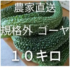 規格外 ゴーヤ 箱抜き10キロのサムネイル