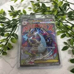 メガリザードンXex MA MEGA ハイクラスパック MEGAドリームex