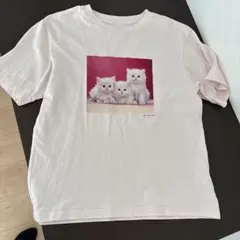 子猫プリント Tシャツ 半袖 ライトピンクのサムネイル