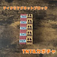 マイクラ マグネットブロック 10ピース 互換品 知育玩具 プレゼント キッズ